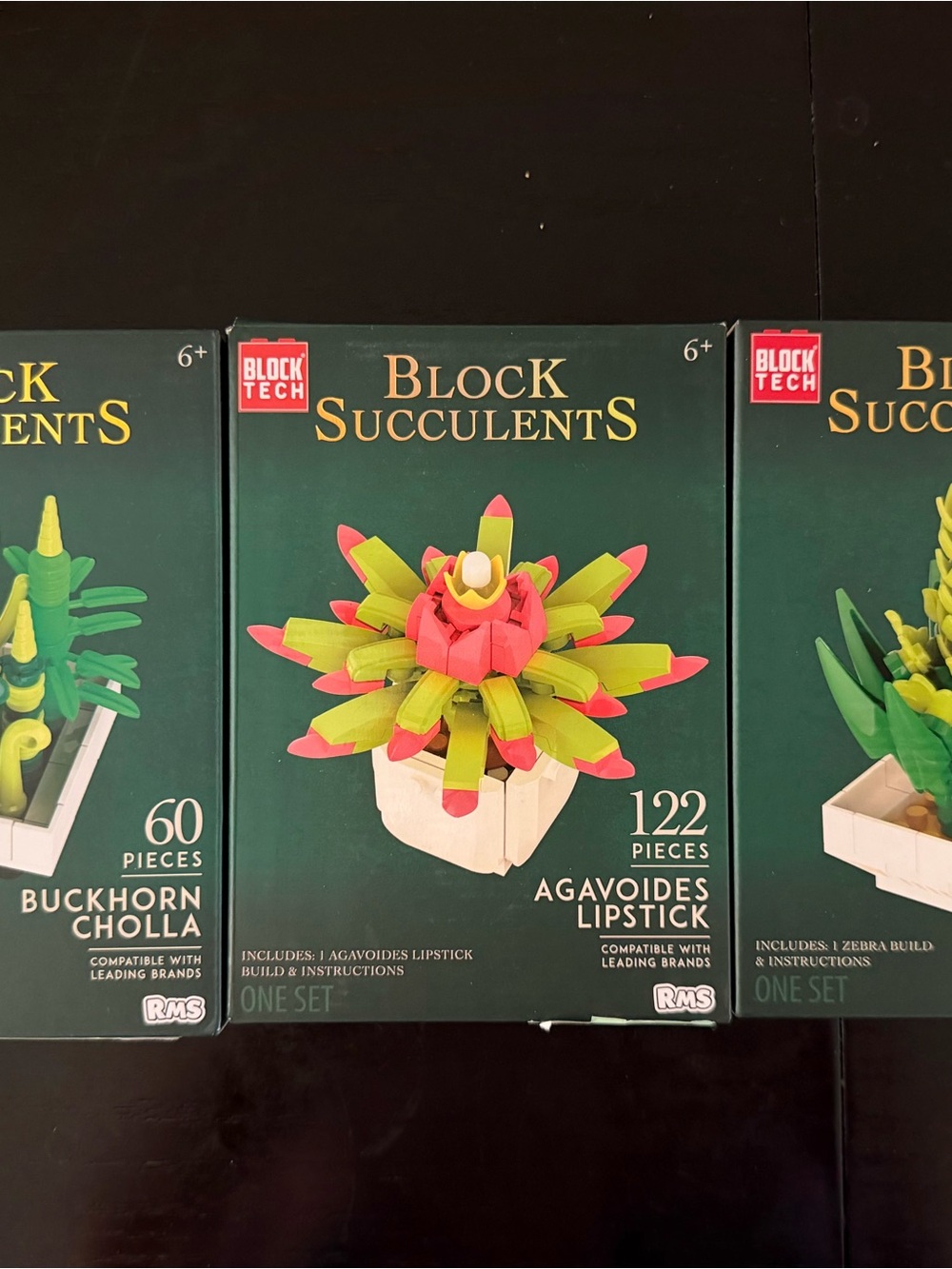 Block Tech Succulents Set of 3